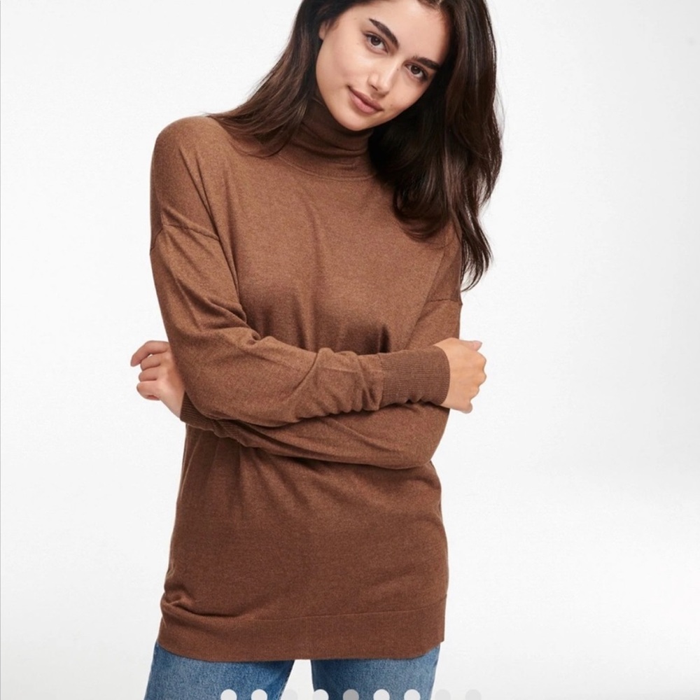Silk & Cashmere Brown Sweater Turtleneck